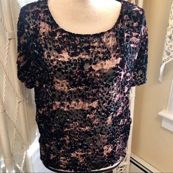 Club Monaco Top Pink Black Burnout Velvet Cheetah Print Sheer Mesh size Small - Picture 2 of 16